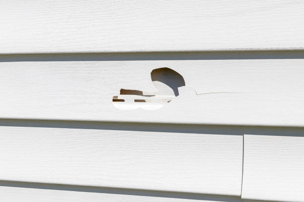 Best Stucco Siding  in Connell, WA