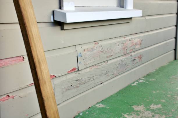 Best Fascia and Soffit Installation  in Connell, WA